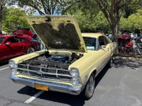 1967 Ford Fairlane for sale in Michigan (ID-145018)