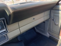 1967 Ford Fairlane 500 for sale in Michigan (ID-113295)