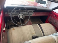 1967 Ford Fairlane 500 for sale in Michigan (ID-124050)