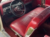 1967 Ford Galaxie for sale in Michigan (ID-146460)