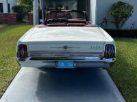 1967 Ford Galaxie for sale in Michigan (ID-146460)