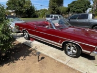 1967 Ford Galaxie for sale in Michigan (ID-155019)