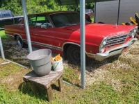1967 Ford LTD for sale in Michigan (ID-127416)