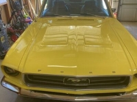1967 Ford Mustang for sale in Michigan (ID-102577)