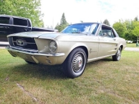 1967 Ford Mustang for sale in Michigan (ID-108358)