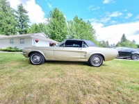 1967 Ford Mustang for sale in Michigan (ID-108358)