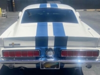 1967 Ford Mustang for sale in Michigan (ID-110403)