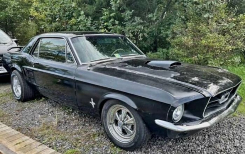1967 Ford Mustang for sale in Michigan (ID-112243)