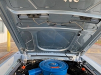 1967 Ford Mustang for sale in Michigan (ID-112316)