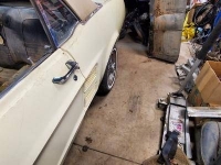 1967 Ford Mustang for sale in Michigan (ID-112716)