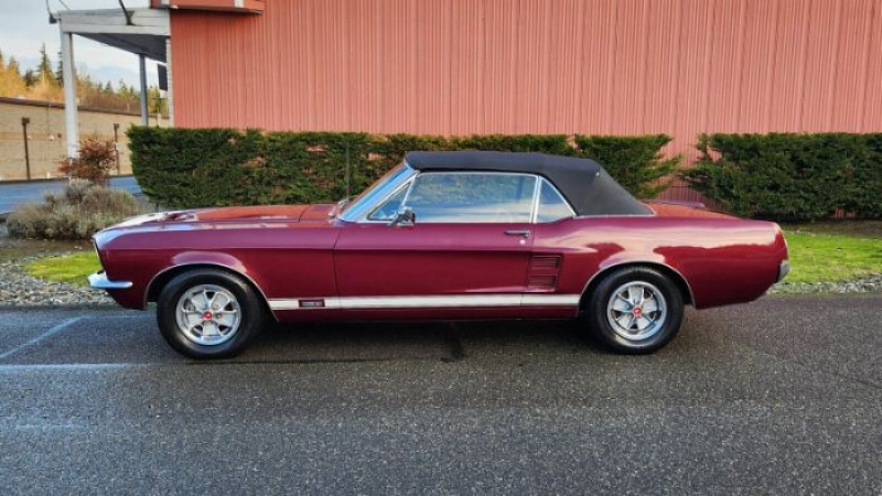 1967 Ford Mustang for sale in Michigan (ID-113140)