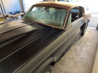1967 Ford Mustang for sale in Michigan (ID-120925)