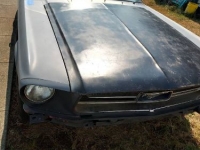 1967 Ford Mustang for sale in Michigan (ID-121732)