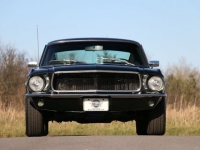 1967 Ford Mustang for sale in Riverhead, New York (ID-123210)