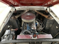 1967 Ford Mustang for sale in Michigan (ID-124244)