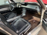 1967 Ford Mustang for sale in Michigan (ID-124244)