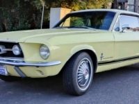 1967 Ford Mustang for sale in Michigan (ID-124292)