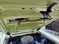 1967 Ford Mustang for sale in Michigan (ID-124292)