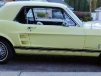 1967 Ford Mustang for sale in Michigan (ID-124292)