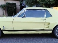 1967 Ford Mustang for sale in Michigan (ID-124292)