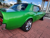 1967 Ford Mustang for sale in Michigan (ID-124601)
