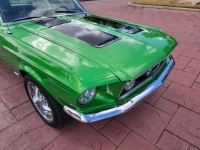 1967 Ford Mustang for sale in Michigan (ID-124601)