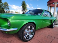 1967 Ford Mustang for sale in Michigan (ID-124601)