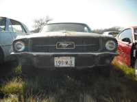 1967 Ford Mustang for sale in Midlothian, Texas (ID-125114)