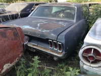 1967 Ford Mustang for sale in Midlothian, Texas (ID-125114)