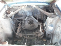 1967 Ford Mustang for sale in Midlothian, Texas (ID-125114)