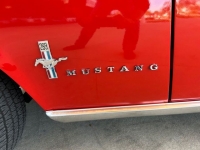 1967 Ford Mustang for sale in Riverhead, New York (ID-125193)