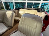 1967 Ford Mustang for sale in Riverhead, New York (ID-125193)