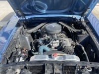 1967 Ford Mustang for sale in Michigan (ID-125280)
