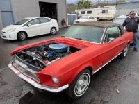 1967 Ford Mustang for sale in Michigan (ID-125892)