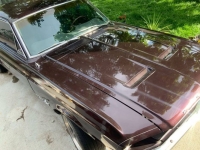1967 Ford Mustang for sale in Michigan (ID-125951)