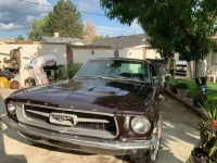 1967 Ford Mustang for sale in Michigan (ID-125951)