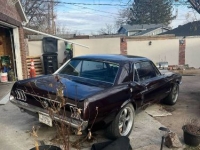 1967 Ford Mustang for sale in Michigan (ID-125951)