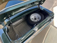 1967 Ford Mustang for sale in Riverhead, New York (ID-126211)