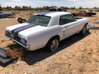 1967 Ford Mustang for sale in Michigan (ID-126288)