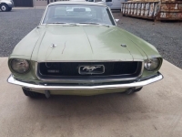 1967 Ford Mustang for sale in Michigan (ID-126349)