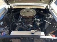 1967 Ford Mustang for sale in Michigan (ID-126419)