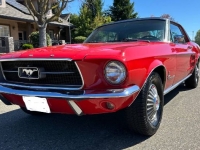 1967 Ford Mustang for sale in Michigan (ID-126871)