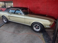 1967 Ford Mustang for sale in Michigan (ID-127258)