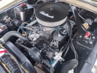 1967 Ford Mustang for sale in Michigan (ID-127258)