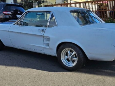 1967 Ford Mustang for sale