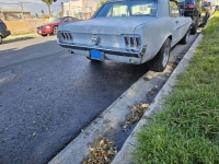 1967 Ford Mustang for sale in Michigan (ID-127315)