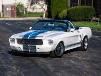 1967 Ford Mustang for sale in Riverhead, New York (ID-129665)