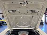 1967 Ford Mustang for sale in Michigan (ID-129890)
