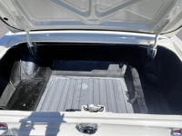 1967 Ford Mustang for sale in Michigan (ID-129890)