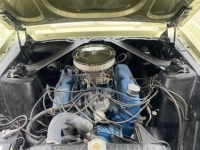 1967 Ford Mustang for sale in Michigan (ID-129917)